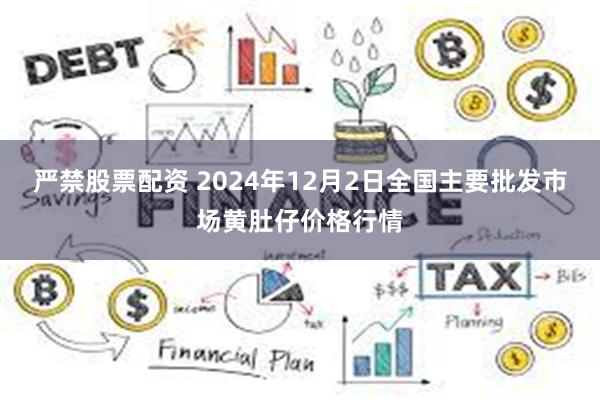 严禁股票配资 2024年12月2日全国主要批发市场黄肚仔价格行情