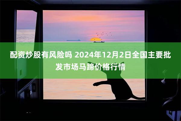 配资炒股有风险吗 2024年12月2日全国主要批发市场马蹄价格行情