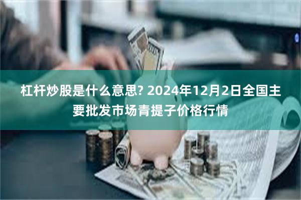 杠杆炒股是什么意思? 2024年12月2日全国主要批发市场青提子价格行情