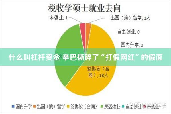 什么叫杠杆资金 辛巴撕碎了“打假网红”的假面