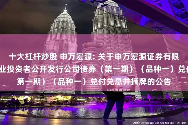 十大杠杆炒股 申万宏源: 关于申万宏源证券有限公司2022年面向专业投资者公开发行公司债券（第一期）（品种一）兑付兑息并摘牌的公告