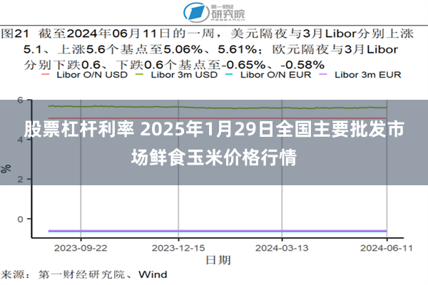 股票杠杆利率 2025年1月29日全国主要批发市场鲜食玉米价格行情