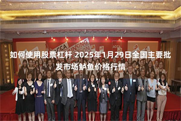 如何使用股票杠杆 2025年1月29日全国主要批发市场鲈鱼价格行情