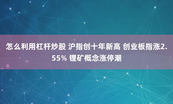 怎么利用杠杆炒股 沪指创十年新高 创业板指涨2.55% 锂矿概念涨停潮